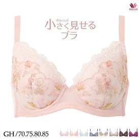 ワコール 小さく見せるブラ ブラジャー GHカップ