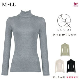 ワコール スゴ衣 あったか Tシャツ スゴT ハイネック アウタータイプ LL