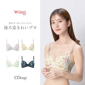 ウイング 脇高 後ろ姿きれいブラ セール 単品 CDカップ KB2722