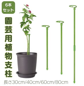 6本セット 植物支柱 花ささえ 園芸支柱 つる性植物 観葉支柱 誘引 支柱 植物サポート フラワースタンド フラワー支柱 花支え ガーデニング 農業用 園芸用 野菜用 観賞植物用 家庭菜園 家庭栽