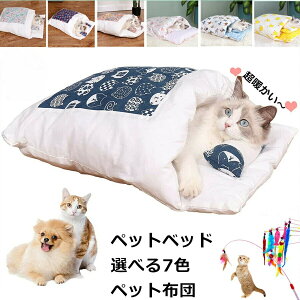 Lzc S`XL zc ybgxbh ybgpQ ybgzc L xbh  xbh L ӂƂ ybg }bg NbV Q LbgnEX 傫 킢 ybgnEX LObY  