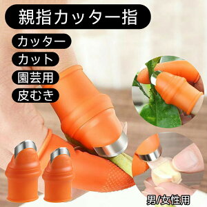 ewJb^[ wTbN^Jb^[ s[[ ؔނ w | niCt ؂ꖡQ Lb`֗ObY jjNނ ܌^iCt t Jbg   ̂Ђ t[c