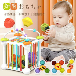 yeb\[z j̎q ̎q ςݖ ϖ ݂ ubN ^͂ `킹 ͂ߍ r[YR[X^[ Jt `F FF w wP ]g wg ߋ m