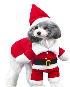 NX}X T^N[X 񑫕s T^ RXv ~ jbg nEB  t[X T^ L hbOEFA  @ [։\ [ 