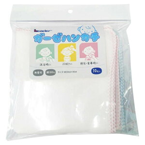 [_[ K[[nJ` 10 LE iÊ Ԃ Bq [֑