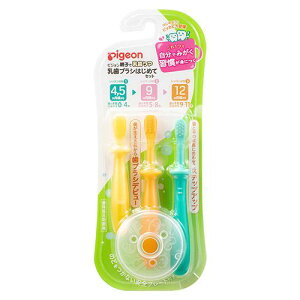 sW uV ͂߂ăZbg 4C5` pigeon ݂֘A Bq