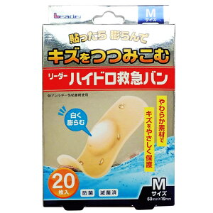 [_[ nCh~}oEpbh No.60/No.80 iÊ LE Bq [