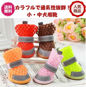 SXZ[Iő90OFFI22000~IyԌʉi1200~ɑzʋCQIJtőlCIȏpu[cbCV[Y/pJC/V