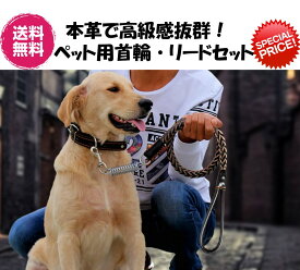 完全閉店セール！最大90％OFF！★ペット用首輪リードセット★【期間限定お買い得価格2780円送料無料】★高級レザー使用！中型犬・大型犬用首輪リードセット！★ペットハーネス/ペットリード/胴輪/首輪/ペットグッズ/ドッグ用品/ペット用品/引きひも/お散歩アイテム/犬リード