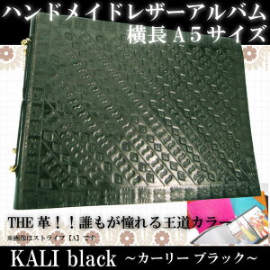 THEvIIN鉤J[yKALI ubNzU[NtgXe[Vi[nfB[TCỸRpNgAoJ[[ubN