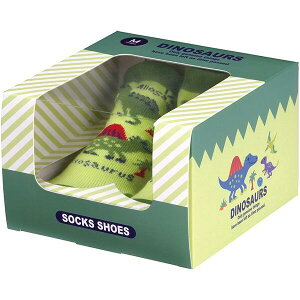 fBmTEX \bNXV[Y M (12.6cm) t@[XgV[Y Mtg{bNX  DINOSAURS PICTURE BOOK q qǂ LbY LN^[