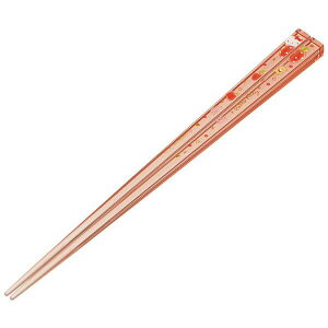 AN NA 21cm lp` n[LeB nslXK[ LN^[ XP[^[