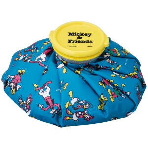 ACXobO X̂ MTCY a20cm ACVO p Mickey Friends 23 XP[^[