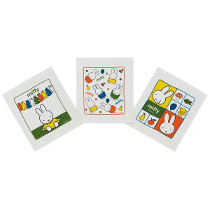 ~btB[ ڂ^I 3Zbg q qǂ LbY LN^[ miffy XP[^[