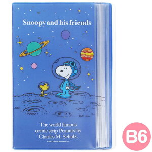 Xk[s[ B6Wbp[P[X TI sanrio LN^[