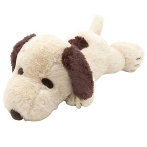 Xk[s[@ʂ ӂӂ͂͂@S@J@