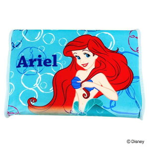 fBYj[ ܂iJo[tj JRᔽ AG