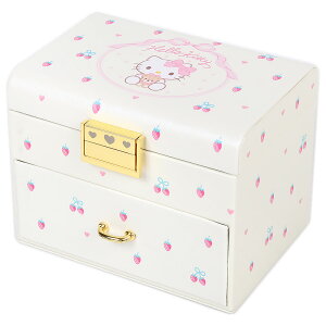 n[LeB WG[{bNX  ANZT[P[X TI sanrio LN^[