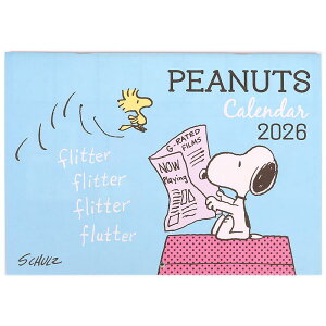 Xk[s[ EH[J_[  Ǌ|J_[ \V[t |Pbgt 2026N TI sanrio LN^[