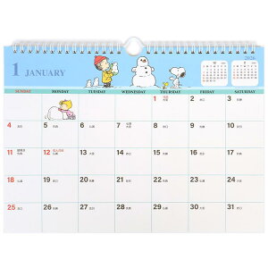 Xk[s[ A4EH[J_[ Ǌ|J_[ \V[t 2026N TI sanrio LN^[