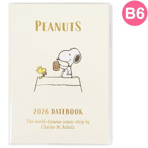 Xk[s[ 蒠 B6 fCgubN XPW[ _CA[ \V[t 2026N TI sanrio LN^[