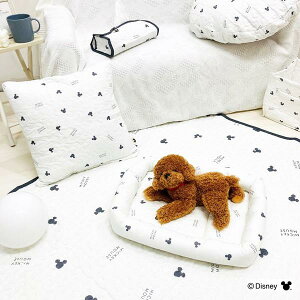 ~bL[}EX ybgxbh lp^  L ؍Cu fBYj[