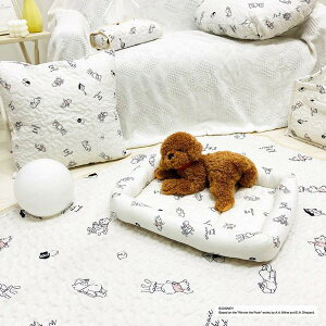 ܂̃v[ ybgxbh  L lp^ fBYj[ ؍Cu