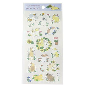 V[ XRWq ĕy[p[V[ Ẳ