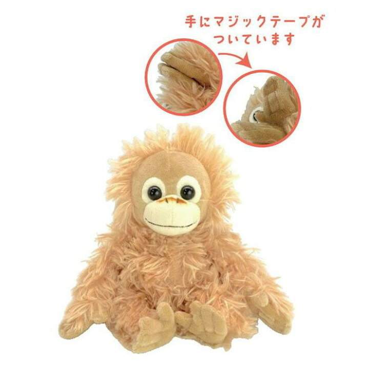 楽天市場】 ベイビーココ ぬいぐるみ SS 予約商品 : キューティー 