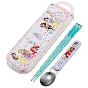 vZX XCh  Xv[ RrZbg Jg[Zbg fBYj[ XP[^[