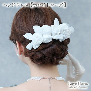 wbhhX yzCg [Y z|  Ԃ 傫 KN ΂ o ؂₩ ԉ  EFfBO EGfBO uC_ l Ǝ p[eB[ {   