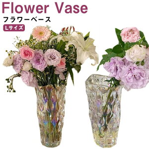 水栽培 花瓶 ガラスの人気商品 通販 価格比較 価格 Com