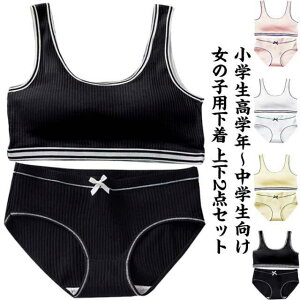  WjAuW[ ㉺Zbg 2_Zbg K[Y  V[c u LbY Zbg uW[ Jbvt ̎q Ci[pc A_[EFA WjAu X|[c