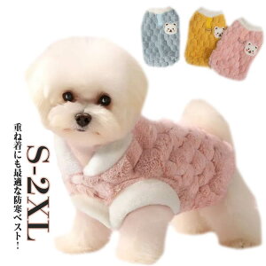  xXg N RR `bL   {A  AE^[ H ybg Z[^[ Ȃ hbOEFA m ~ ΍ {AxXg  gbvX g ybgObY