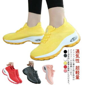 Xj[J[ fB[X EH[LOV[Y Xj[J[ GA[NbVV[Y C\[ C Ռz O Ȃ D^ fbLV[Y _CGbgV[Y  3e L 