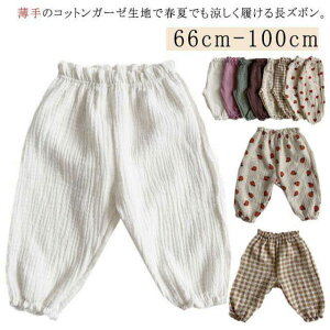 Rbg xr[ xr[ LbY Y{  悯 Y{  `FbN ̎q  S Opc  K[[ xr[ n[g ԕ {gX oYj 66 73 80 90