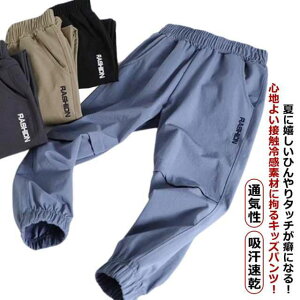  ⊴pc 120 WK[pc qǂ  C[W[pc  qǂ ڐG⊴ WK[pc q z Ђ WjA ʋC w 悯 JWA Op