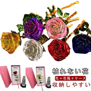 KN ꂢ a j ԕrt    v[g t[ u 蕨 LO LO NA KN FB  1֑} a Mtg v[g ޏ  o [Y  