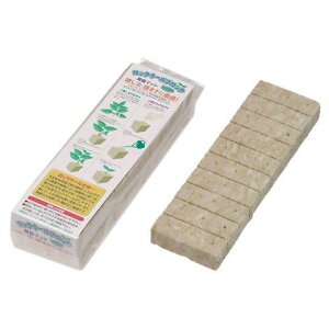 ��a�v���X�`�b�N ���b�N�E�[���u���b�N 60P