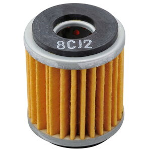 fCgi(Daytona) oCNp vCX ICtB^[ }nn Z[250 Ȃ 98750 ʂNo:F-22