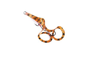 X^[g(Start) փjbg gvtbN V[gJ[[ M #66 V}ԃ[u