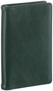 CC VXe蒠 _B` X^_[h |Pbg O[ JDP3009M