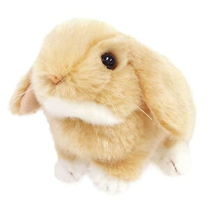 g 肭̂Ȃ܂ bvC[ETM ʂ IW 180127