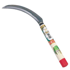 L{V(Kinboshi) V^t 140403