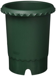 ���b�`�F�� �o���� 6�� �_�[�N�O���[��