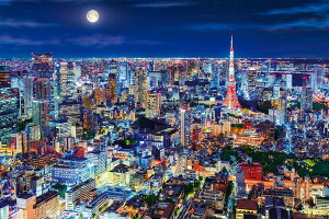 エポック社 1000ピース ジグソーパズル 日本風景 心にのこる輝きの風景 煌めく東京の夜 (50×75cm) 12-514s のり付き ヘラ付き 点数券付き EPOCH