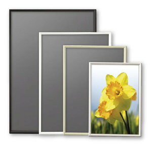 Ae |X^[t[ VFCv 620×930 Vo[ SH-P2-SV