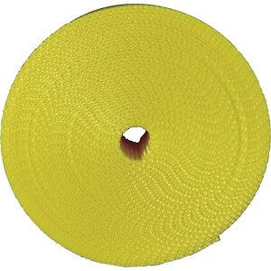 TRUSCO(gXR) iCx 1.2t×25mm×5m F TNB255-Y