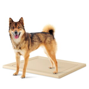 ACXI[}(IRIS OHYAMA)  gC XNGAhbOg[ ނ }Olbg Ch x[W 􂢉