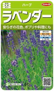 TJ^̃^l n[u8086 x_[ n[u 00928086